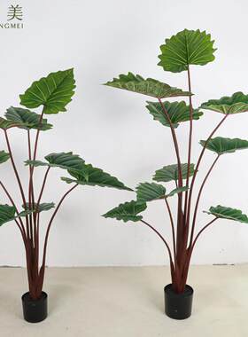 仿真富贵彩虹绿植栽家居装饰春芋塑胶假植物北欧盆栽室内龟背