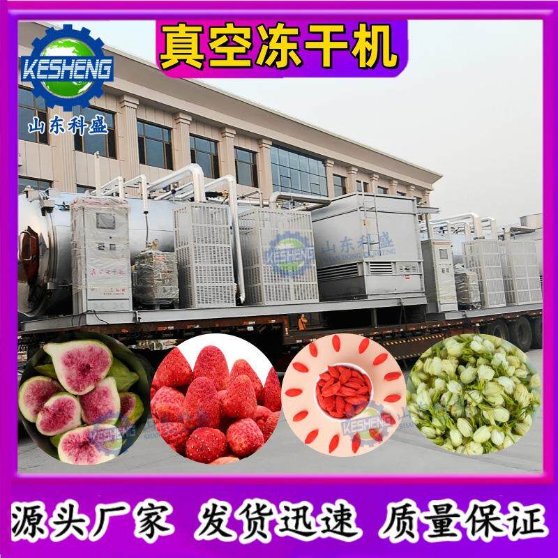 无花果低温真空冻干机 苹果冷冻干燥机 芒果百香果粒冻干设备