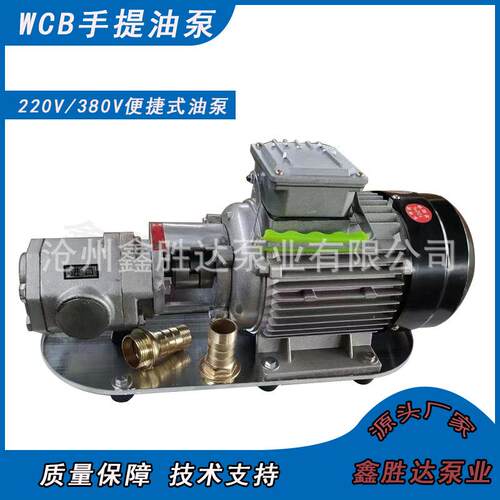 WCB-75/50/30不锈钢手提式式齿轮泵生产厂家220V/380V电压手提泵