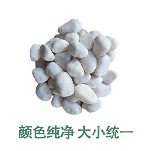 白色鹅卵石 雪花白 胶粘石砾石 庭院铺路铺地 小白石头园林水洗石