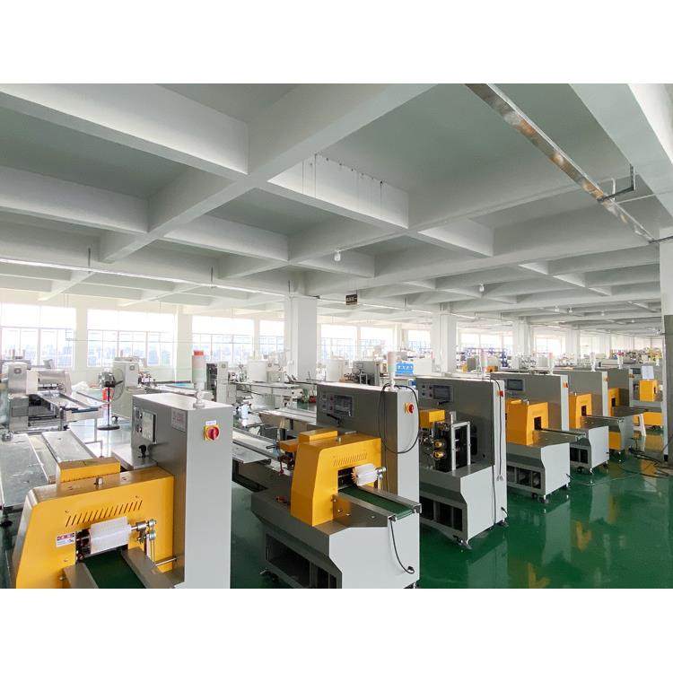 枕式包装机450伺服日用品餐具包装机opp膜化妆棉包装机