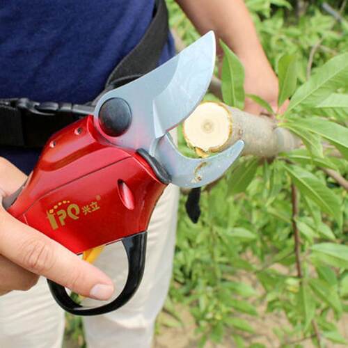 正品兴立958电动修枝剪828电动剪刀果树电剪刀园林园艺苗木剪枝剪
