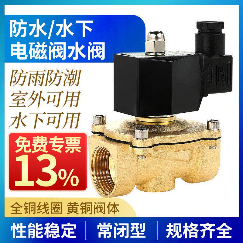 防水室外电磁阀水阀AC220V常闭进放水管控制阀开关4分6分24V水下