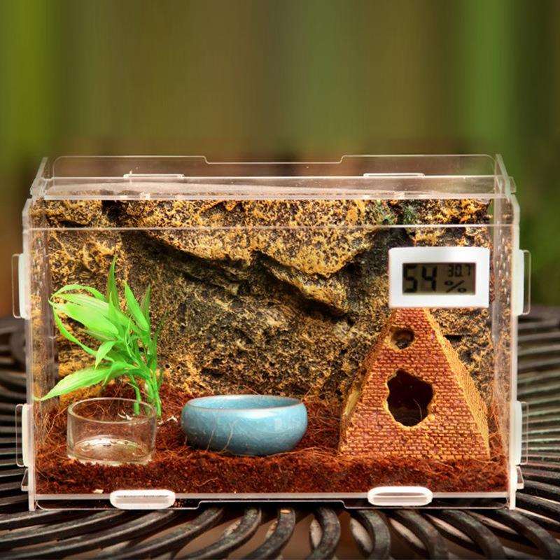 亚克力爬虫箱饲养盒蜘蛛蜥蜴爬宠盒变色龙守宫树蛙专用透明饲养箱