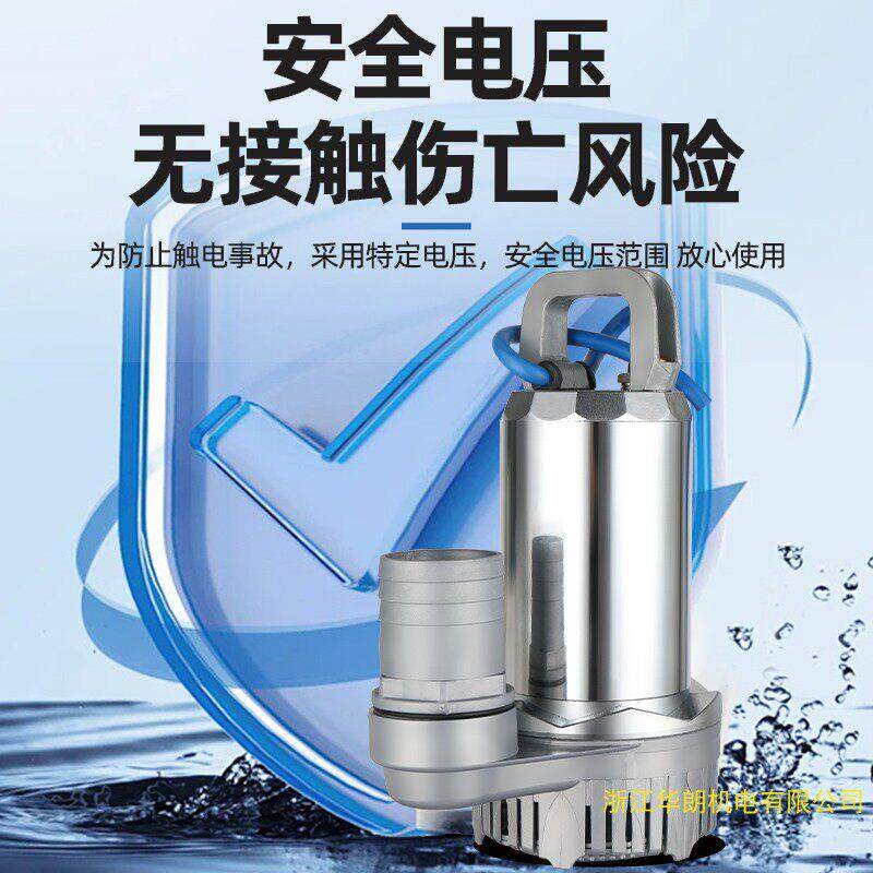 直流潜水泵12V24V48V60V72V电动车船用农用抽水泵浇地灌溉电瓶泵