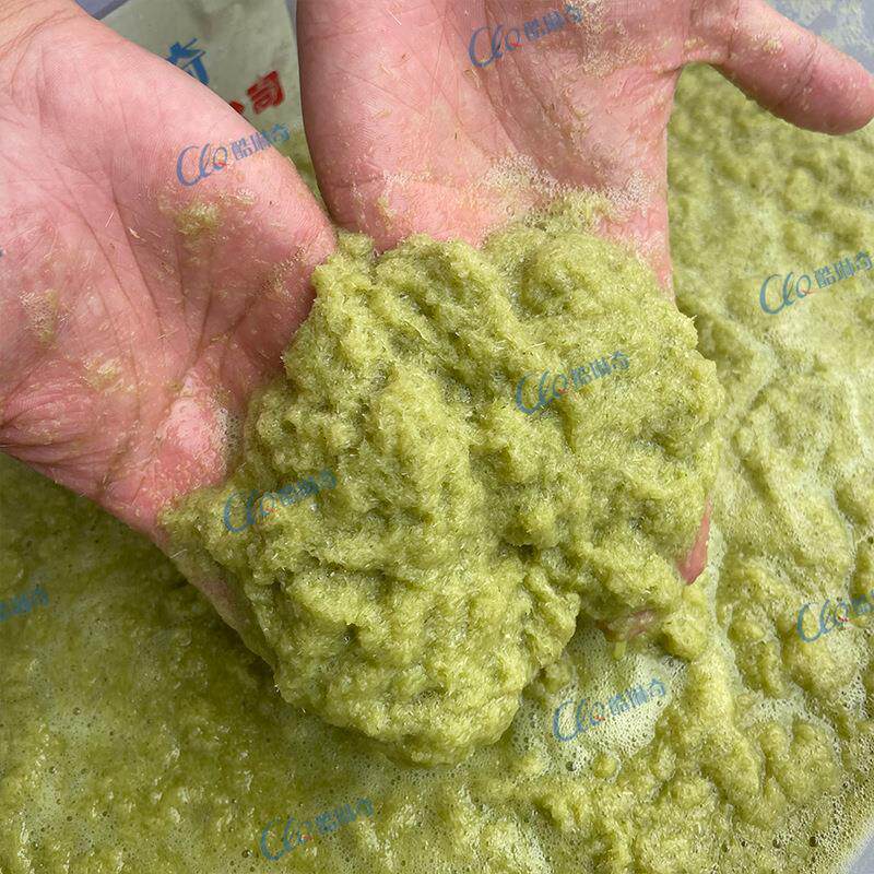 黄金南瓜带皮带籽蔬菜面加工打浆机 大型工业破壁机高速打浆机