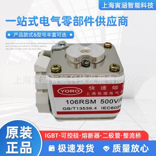 快速熔断器保险105RSM-1000V 106RSMF-660V 107RSM-500/800/1000V