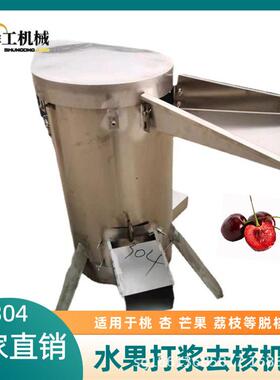 工厂用水果脱核机梅子橄榄芒果黄桃商用去核机胡桃脱皮脱核机器