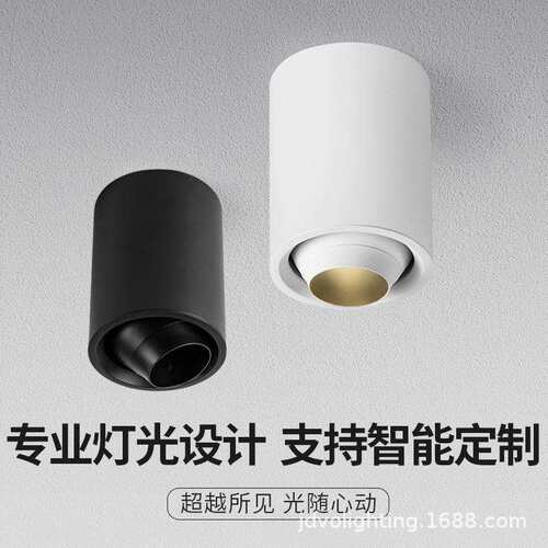 明装筒灯可调猪嘴筒灯别墅家用商用cob摇摆射灯led防眩明装射灯
