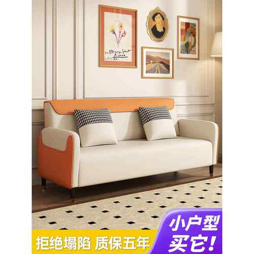 技术布沙发小公寓斯堪的纳维亚客厅双人二或三人出租的房子出租公