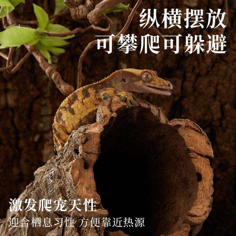 新派宠物树皮躲避洞爬宠蜘蛛睫角守宫树蛙陆龟饲养箱造景晒台软木