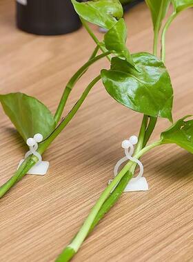 Green Vine Climbing Wall Magic Tool, Self-Adhesive Plant Fix