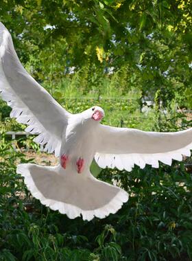 彷真鸽子和平鸽摆件假鸽子模型婚庆装饰用品动物模型鸟类标本道具