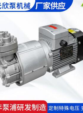 乙二醇循环泵不锈钢磁力泵MAP-1100半导体氟化液循环泵