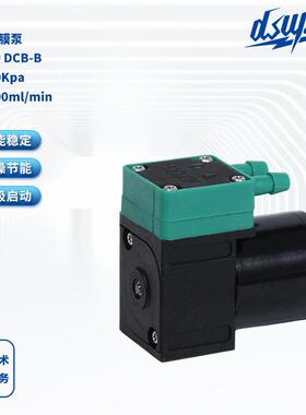 液体隔膜泵DS100 DCB-B无刷直流隔膜泵24V液体泵化工泵厂家直供