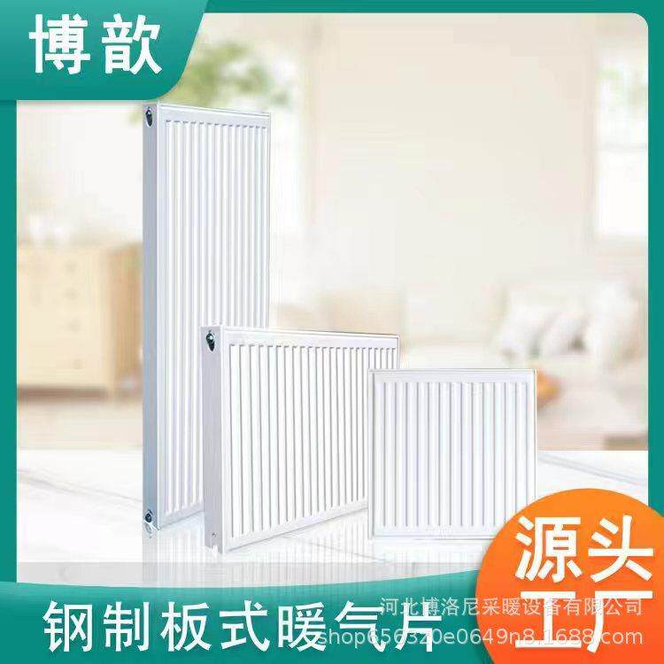 钢制板式暖气片家用水暖天然气壁挂炉SNGB/2/22散热器取暖器