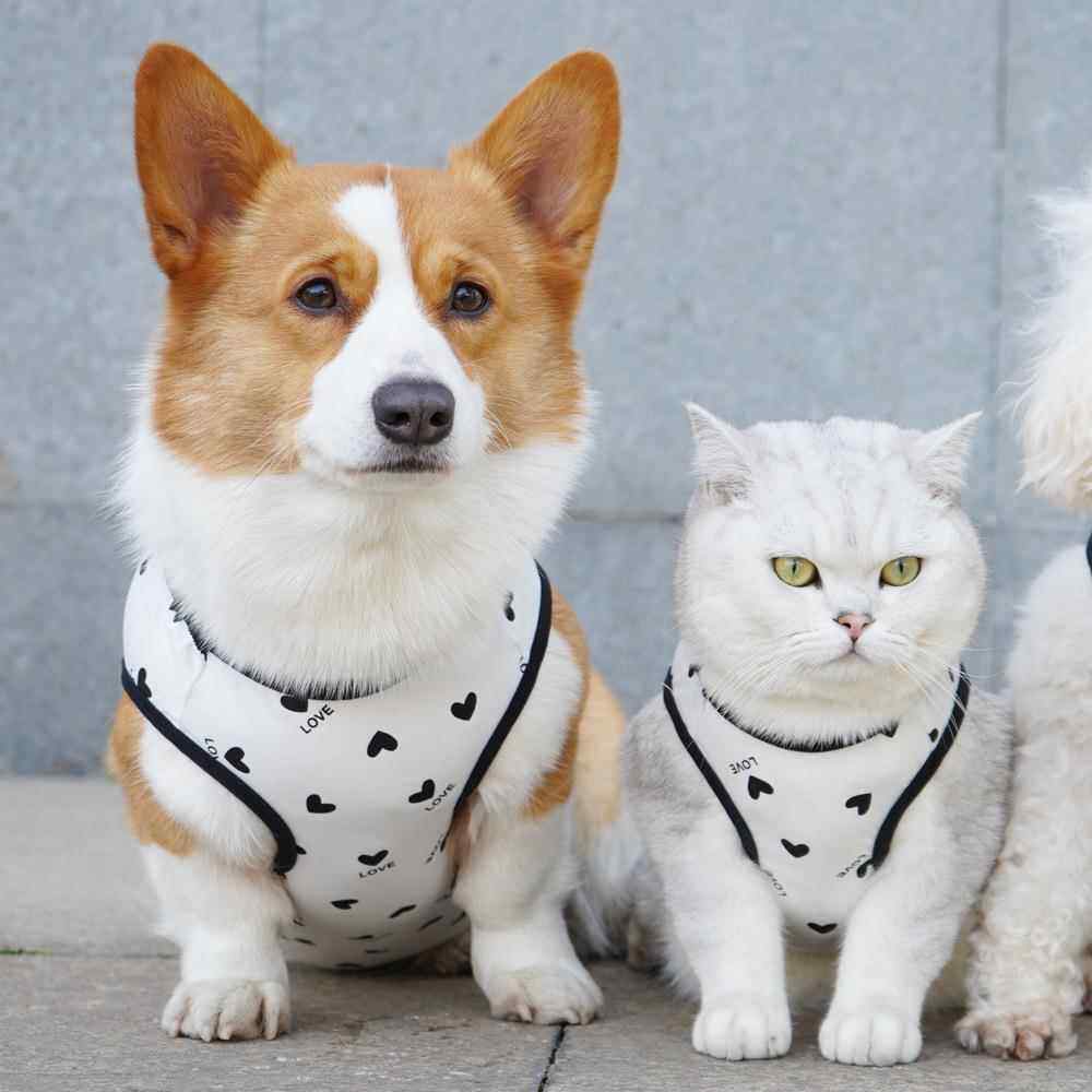宠它薄款宠物背心防掉毛狗狗衣服大型犬泰迪猫咪柯基法斗衣服