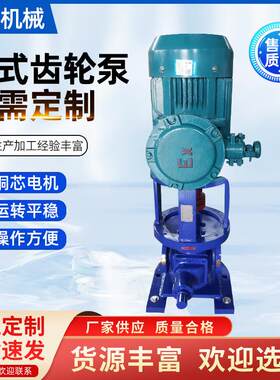 燃油泵润滑油化工泵油罐车卸车泵YCB立式圆弧船用齿轮泵自吸高效