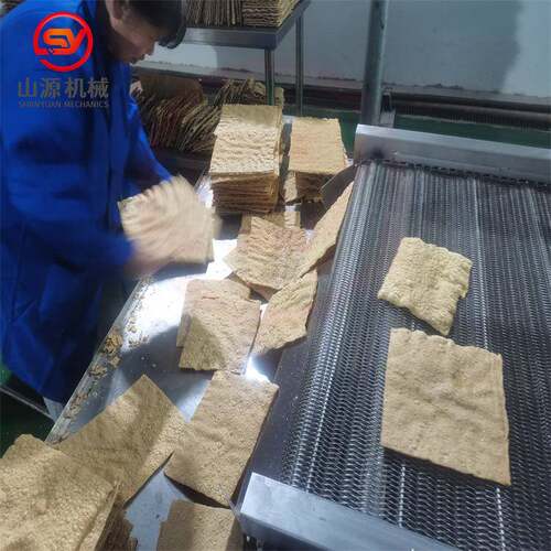厂家腐竹油炸生产线 脆皮千张油炸机 不锈钢板带油炸设备