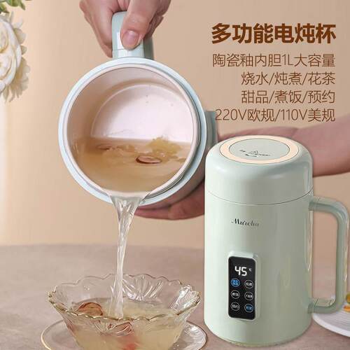 欧规110V美规陶瓷釉内胆电炖杯养生壶1-2人电热杯养生杯1升办公室