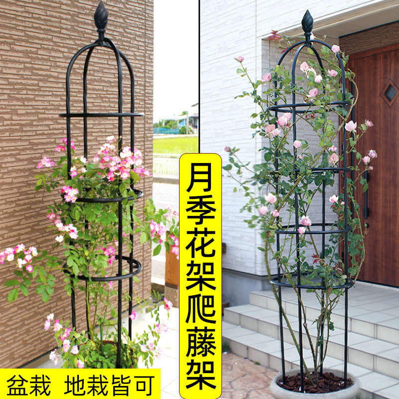 花架爬藤架玫瑰月季铁线莲支架绿萝攀爬植物盆栽造型支撑架藤架
