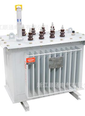 S13-M-010-200-315K全铜VA油式电力变压器高压1三浸相油变全铜芯0