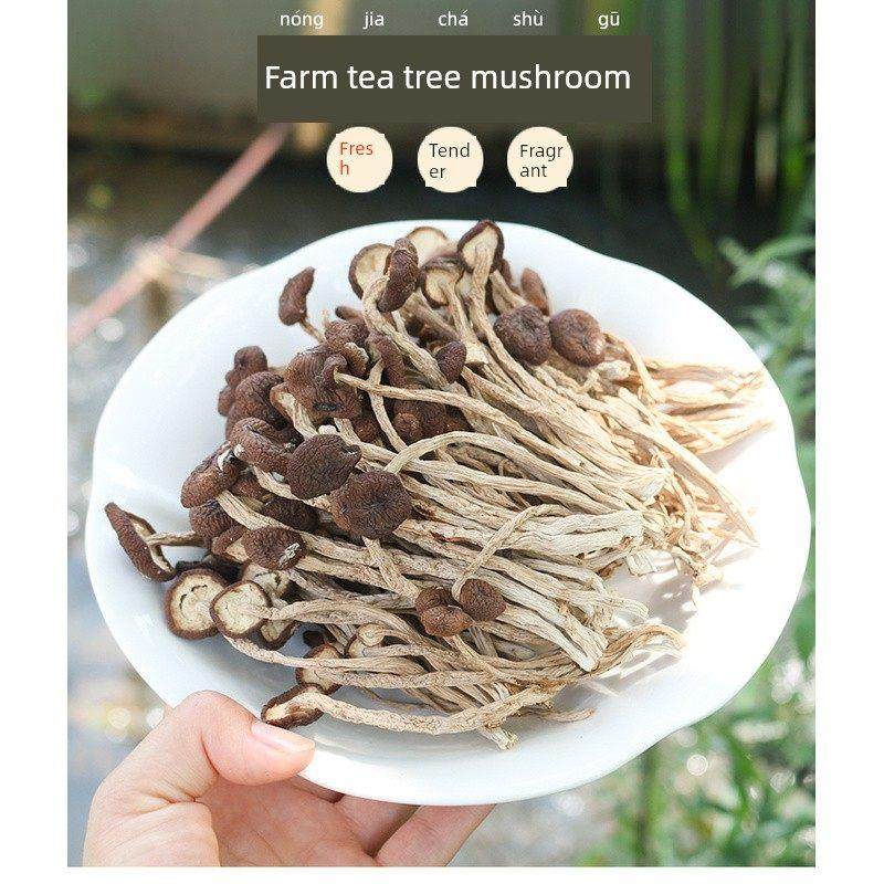 采购产品今年新蘑菇，特色茶树蘑菇，干货，精选非开伞，农场种植,粮油调味/速食/干货/烘焙,香菇类,淘宝优惠券,粉丝福利购,淘宝优惠卷