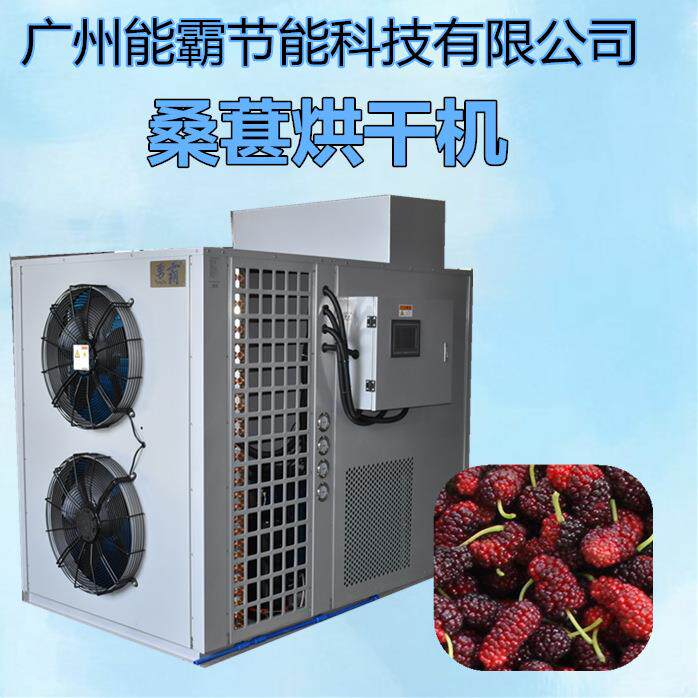 桑葚烘干机厂家直销空气能食品烘干机除湿烘干一体化