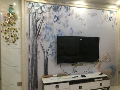 不比不知TCL55t6和海信55E52D哪个好，区别原来这么大?