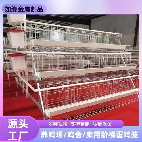 三层五门阶梯蛋鸡笼绿槽白槽三层四层镀锌蛋鸡笼加粗加密养鸡笼