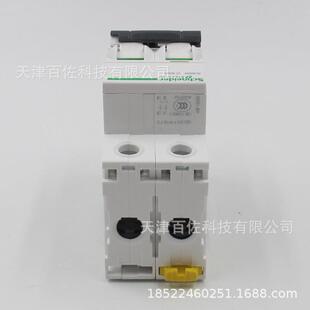 IC65N断路器IC65N 2P C63A断路器A9F18263空气开关断路器