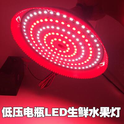 12V LED灯泡低压生鲜水果猪肉灯48v夜市摆地摊灯 led节能电瓶灯