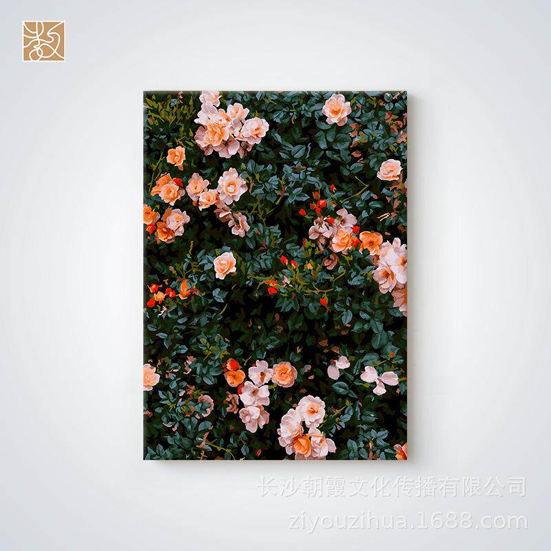 数字油画填色数字画手工填色画手绘涂色名画系列装饰画5070带内框