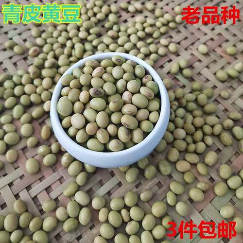 广西巴马山区特产青皮黄豆农家自种产品老品种土新青黄豆500克