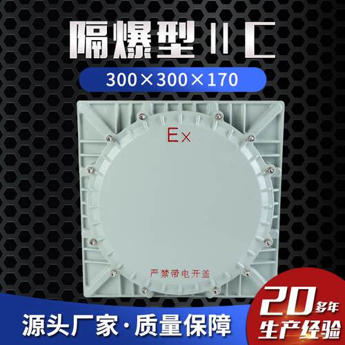 隔爆型ⅡC 300×300×170C级防爆接线箱配电箱仪表箱控制防爆箱