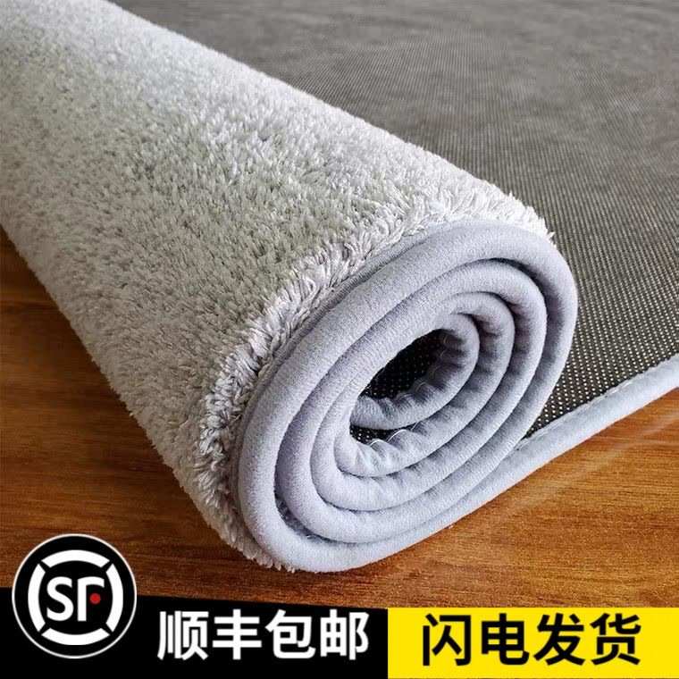 定制加厚毛地毯卧室少女满铺床前地垫客厅茶几垫可机洗床边毯子