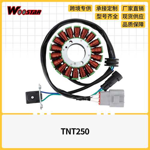 点火线圈定子Trk251 Bn251 Tnt25 Tnt250 Leoncino250