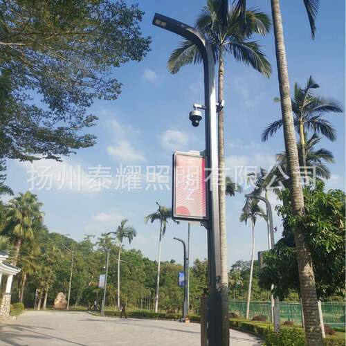 浙江深圳学院6米8米10米带显示屏监控环境检测智能调光LED智慧路