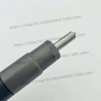 德尔福喷油器R00301D/A6710170121柴油发动机共轨喷油器