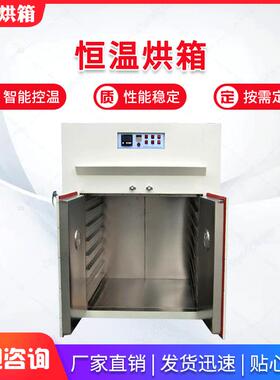 小型工业烘箱电热恒温鼓风干燥箱实验室鼓恒温风烘箱