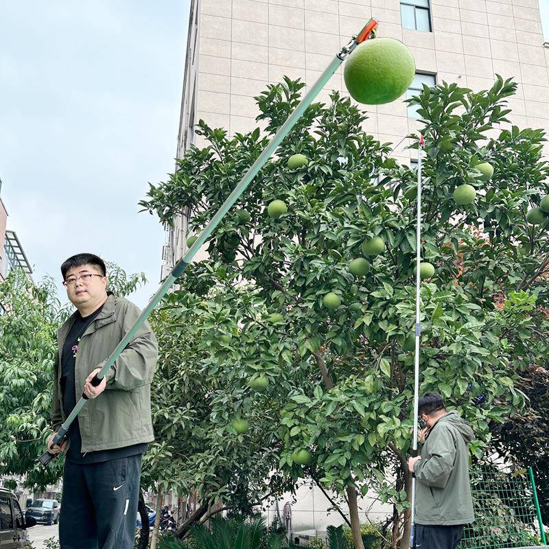 果树高枝摘弯头剪粗高空延长采PNW摘枝剪园林修修剪果粗枝两用枝