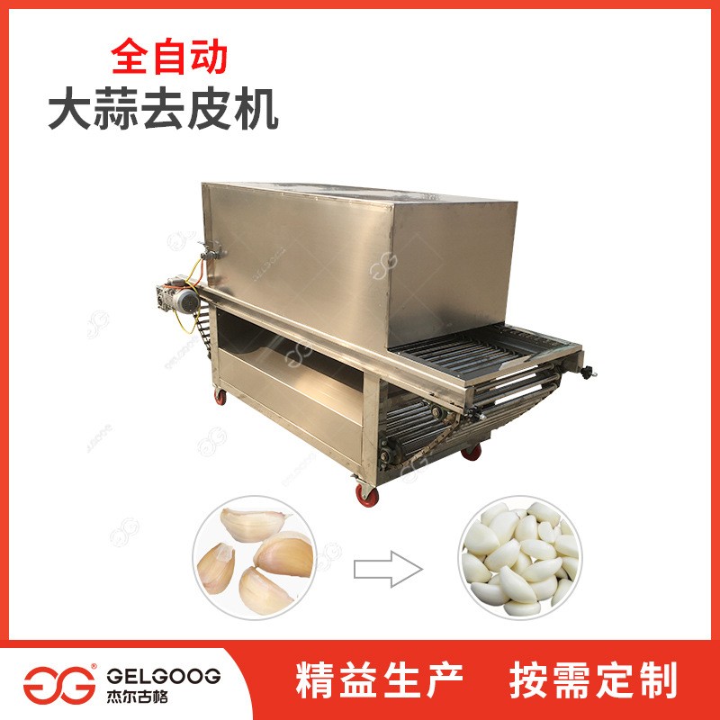 杰尔古格白皮大蒜剥蒜机器 吨量电动大蒜头剥皮机 大蒜破瓣去皮机