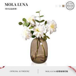MOLA·Joy·花瓶家用客厅简约大肚玻璃水养插花瓶摆件花器 喜悦