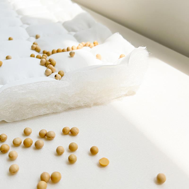 四季用床铺垫软垫可家用床垫薄款褥子保护垫底垫褥TNW隔脏保褥护