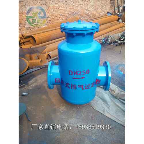 自洁式排气过滤器 精密过滤器 GCQ 排污器 过滤器 DN250 DN300