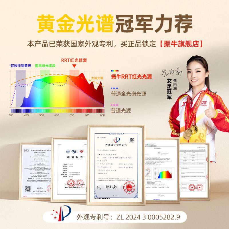 台灯护眼学习专防近大ZN-TD069视卧床头充电中学生宿舍可携用式折