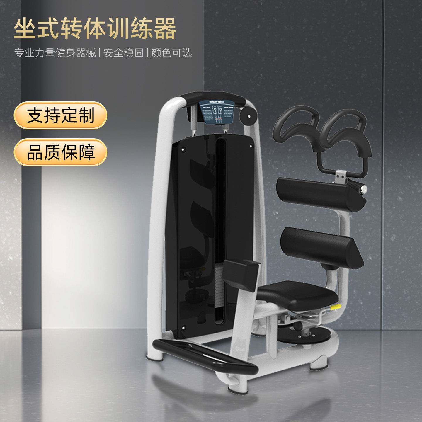 坐式转体训练器坐式腹肌训练器腰腹训练系列运动蓝晟