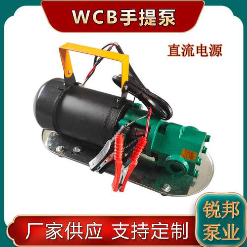 供应直流wcb50手提式12v电动齿轮泵微型便携抽油泵柴油泵