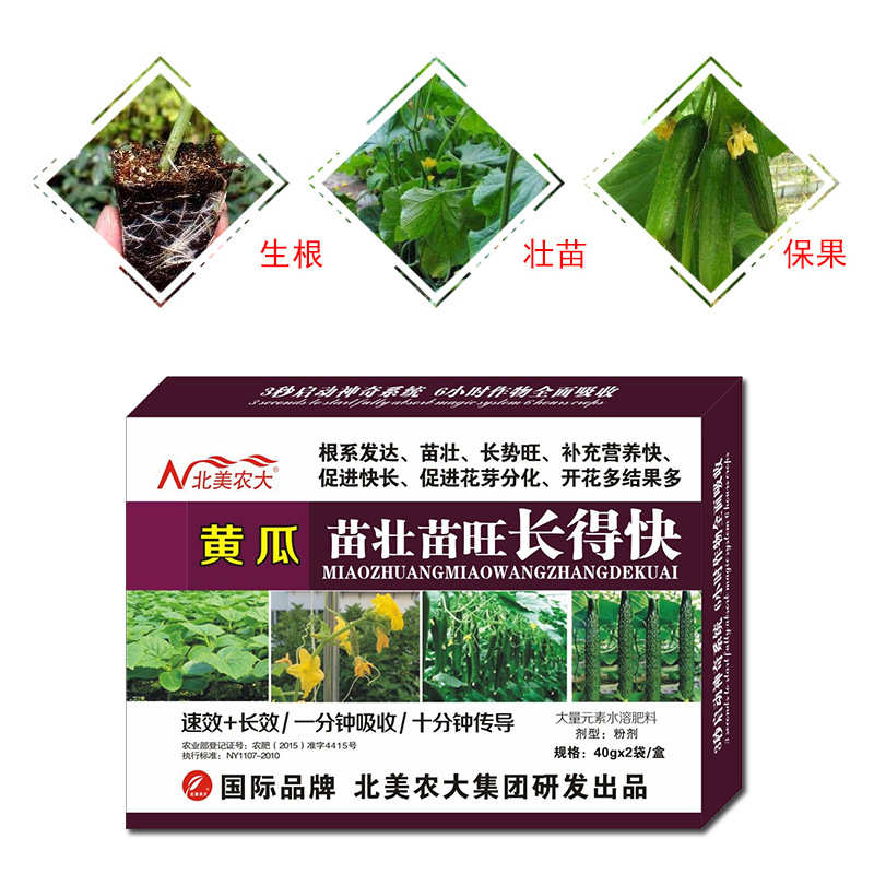 黄瓜苗壮苗旺长得快叶面肥促根壮苗促进花芽分化增长势增产水溶肥