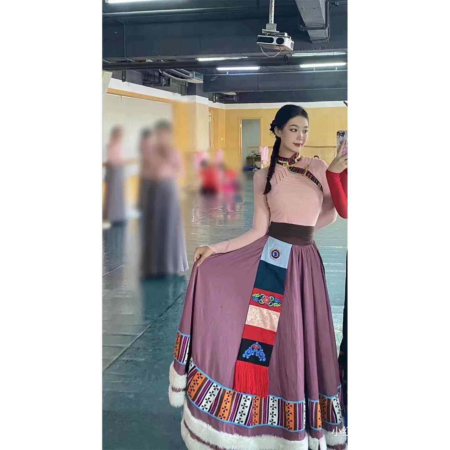 高档藏族舞蹈演裙出服装藏身式少数民族女学艺考舞蹈练习舞蹈生半